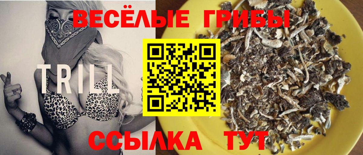Псилоцибиновые грибы GOLDEN TEACHER Кизляр