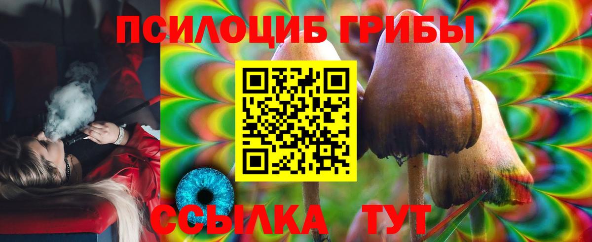 Псилоцибиновые грибы прущие грибы  Вход с VPN  Кизляр  Галлюциногенные грибы Psilocybe 